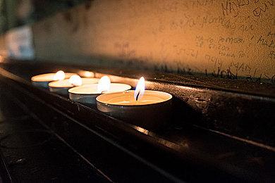 动保组织呼吁移除《马里奥赛车：世界》里的奶牛鼻环